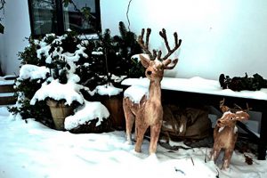 Sne og dådyr foran bed and breakfast hotel Albertine