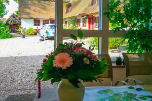 Hyggelig morgenmad hos Albertine med udsigt