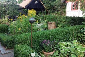 Sommerblomster i BB Albertine haven