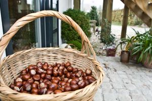 Naturens dekorationer med kastanjer hos Bed and Breakfast Hotel Albertine